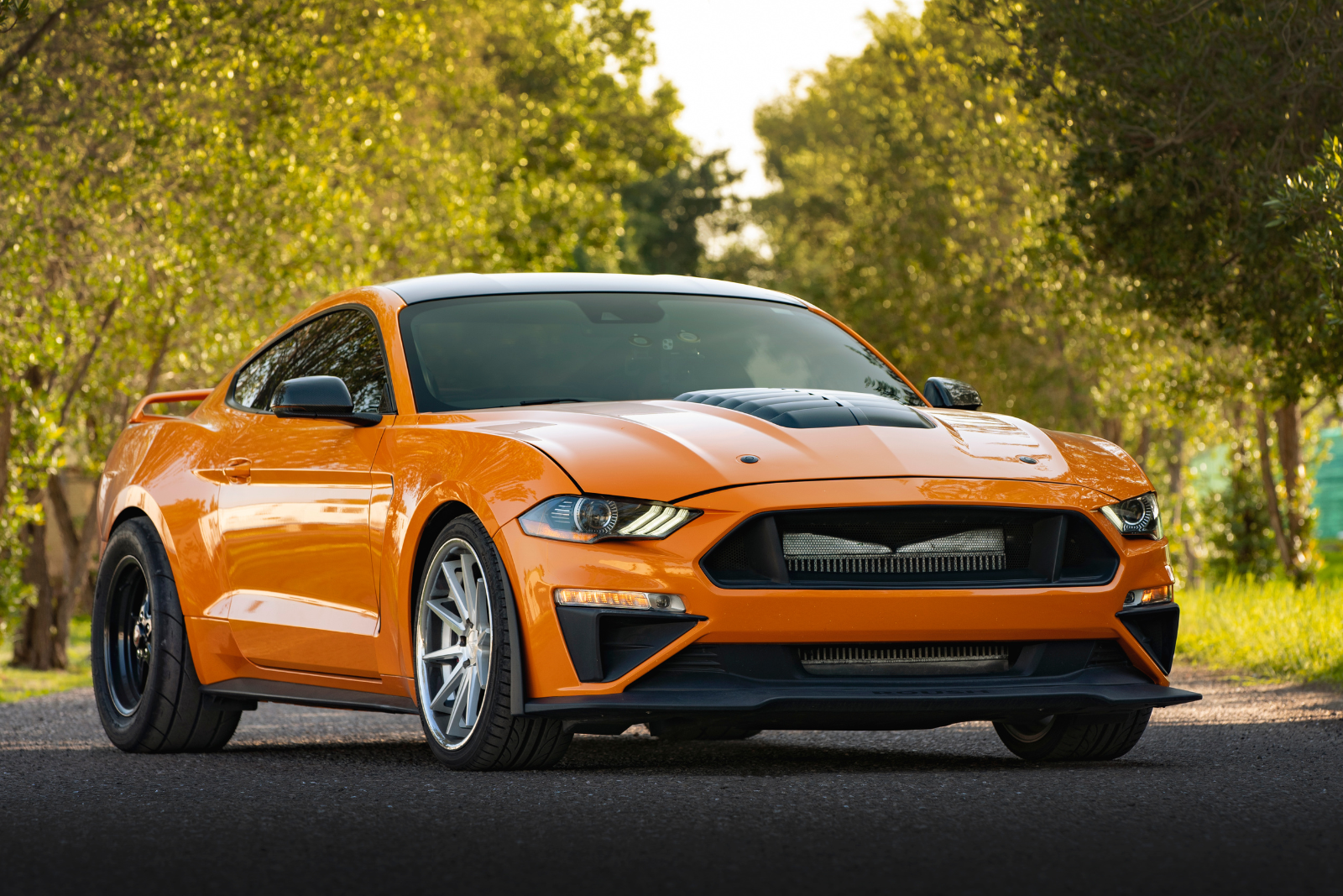 Book Self Drive Car For Rent In Goa